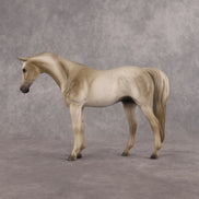 Lady Grey LE-5 Pebble Arabian Mare by Anna Rieck LHS26