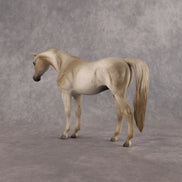 Lady Grey LE-5 Pebble Arabian Mare by Anna Rieck LHS26