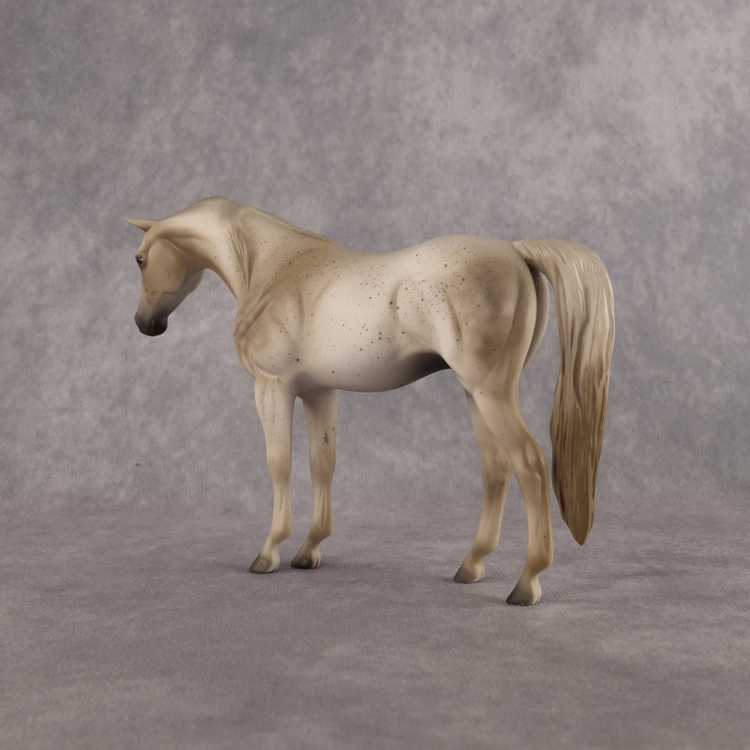Lady Grey LE-5 Pebble Arabian Mare by Anna Rieck LHS26