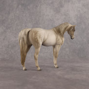 Lady Grey LE-5 Pebble Arabian Mare by Anna Rieck LHS26
