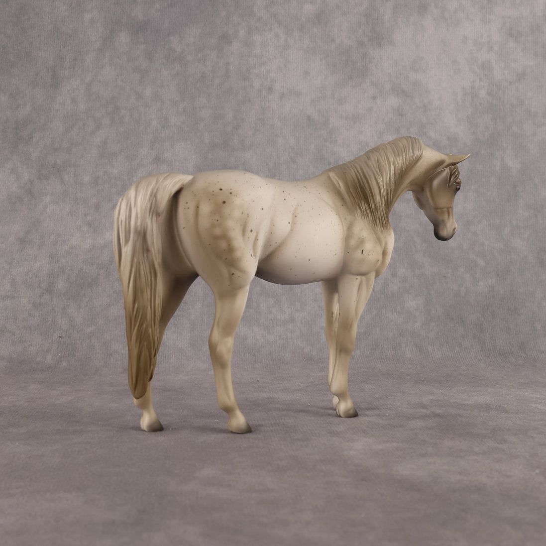 Lady Grey LE-5 Pebble Arabian Mare by Anna Rieck LHS26