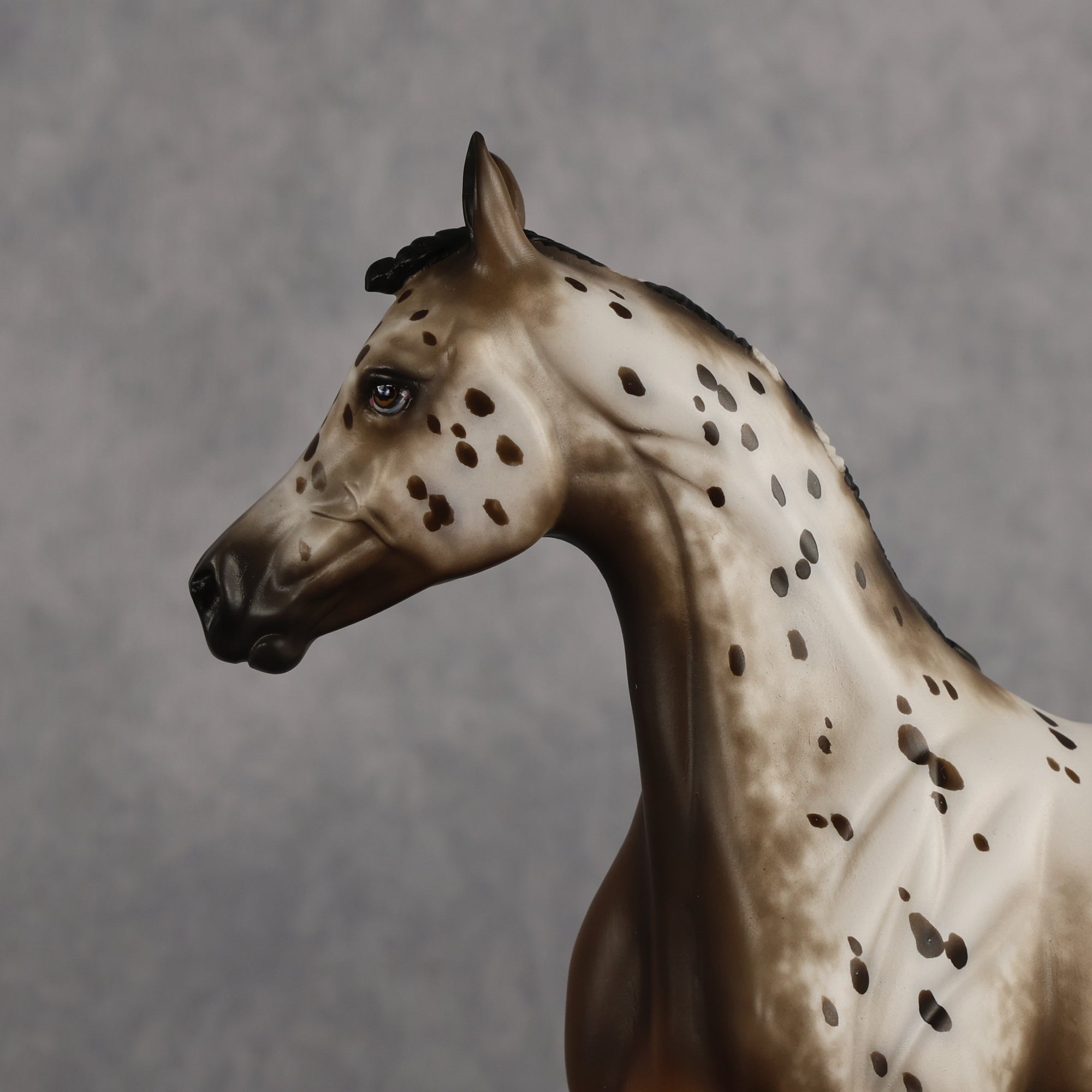 Laguna OOAK FCM Arabian Yearling by Sheryl Leisure Best Offer 6.23.2026