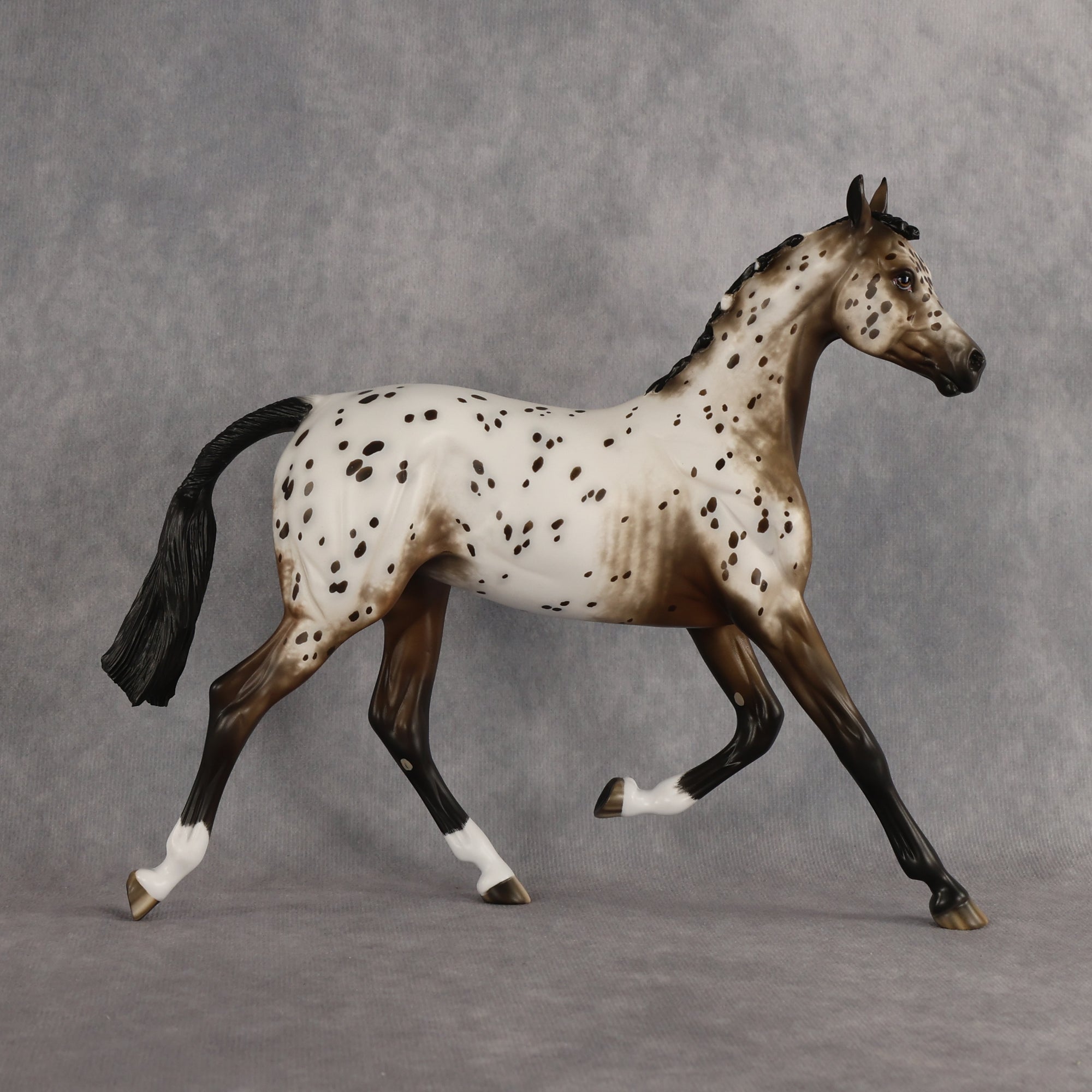 Laguna OOAK FCM Arabian Yearling by Sheryl Leisure Best Offer 6.23.2026
