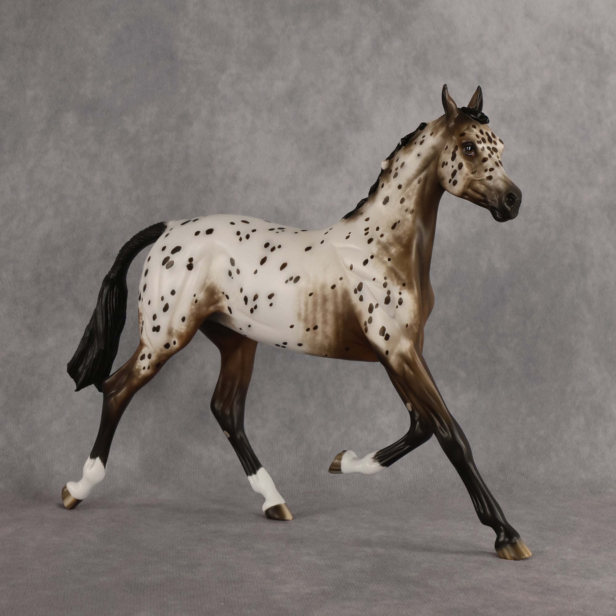 Laguna OOAK FCM Arabian Yearling by Sheryl Leisure Best Offer 6.23.2026
