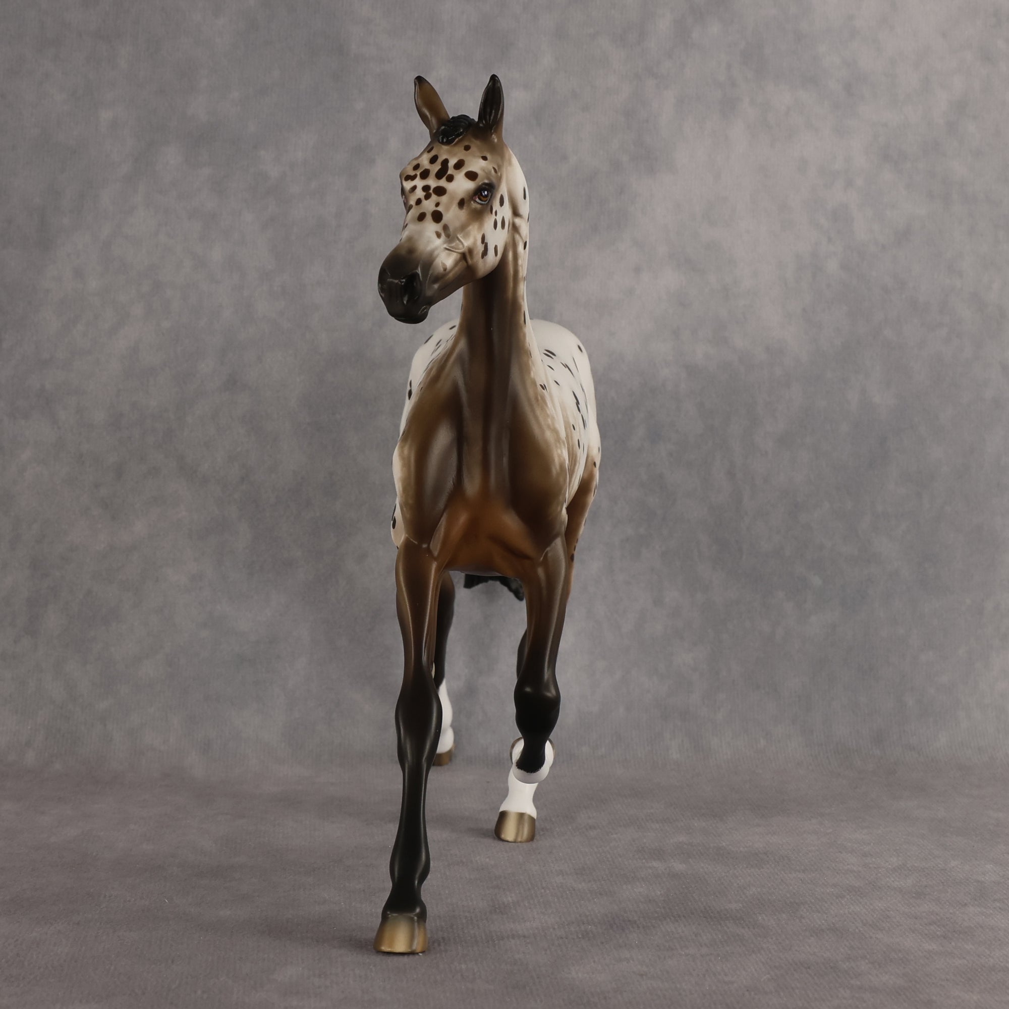 Laguna OOAK FCM Arabian Yearling by Sheryl Leisure Best Offer 6.23.2026