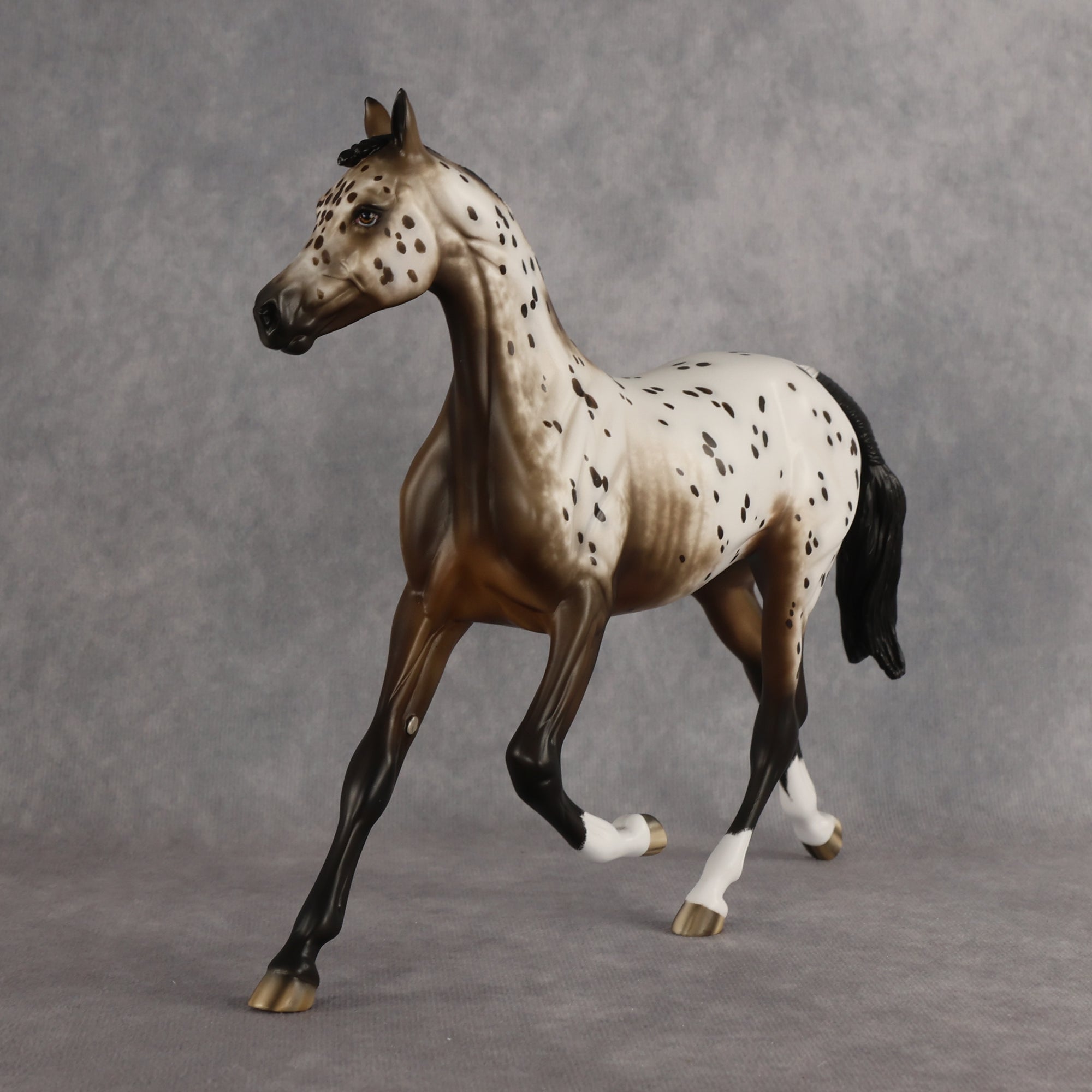 Laguna OOAK FCM Arabian Yearling by Sheryl Leisure Best Offer 6.23.2026