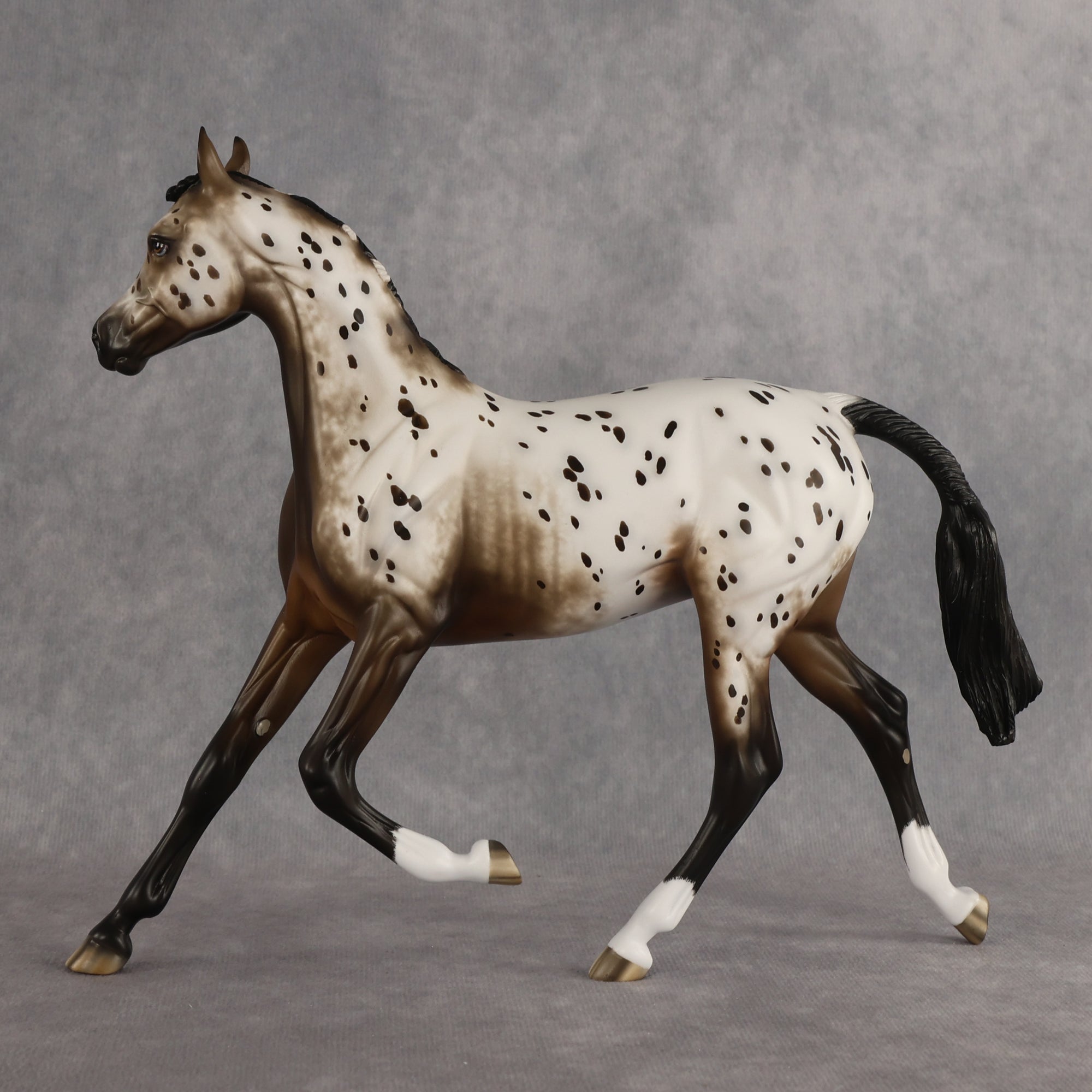 Laguna OOAK FCM Arabian Yearling by Sheryl Leisure Best Offer 6.23.2026