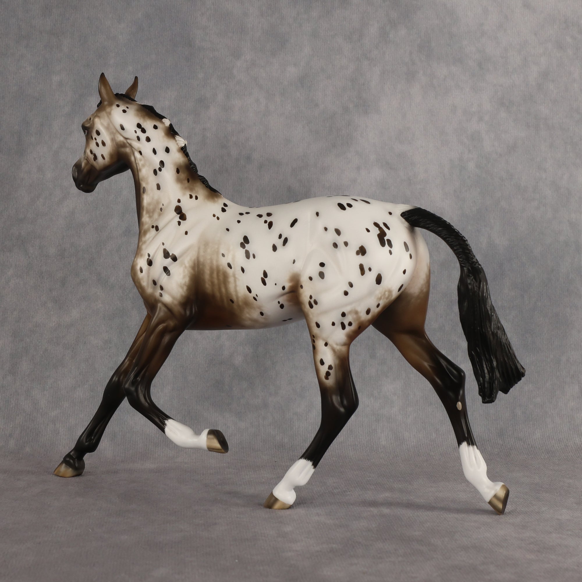 Laguna OOAK FCM Arabian Yearling by Sheryl Leisure Best Offer 6.23.2026