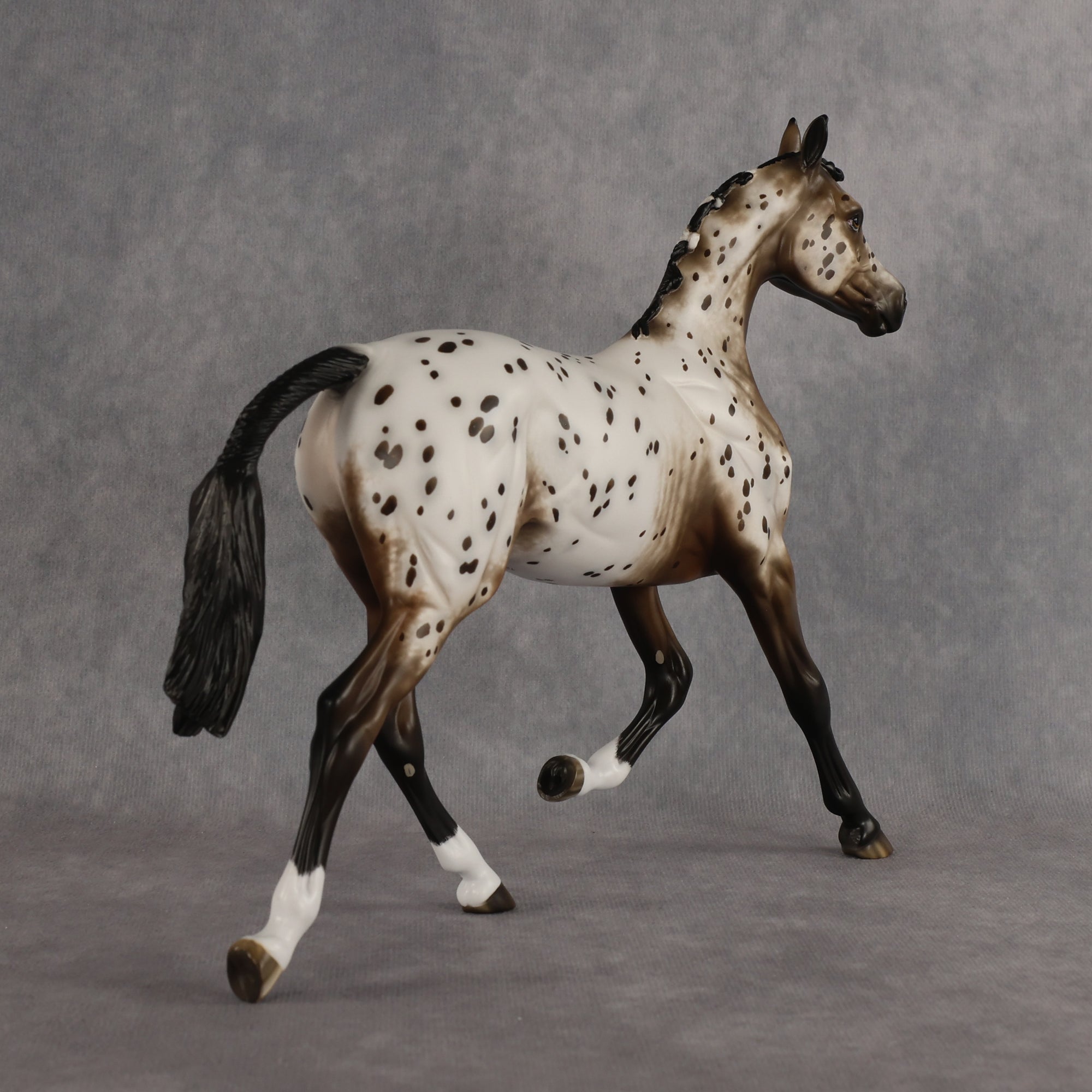 Laguna OOAK FCM Arabian Yearling by Sheryl Leisure Best Offer 6.23.2026