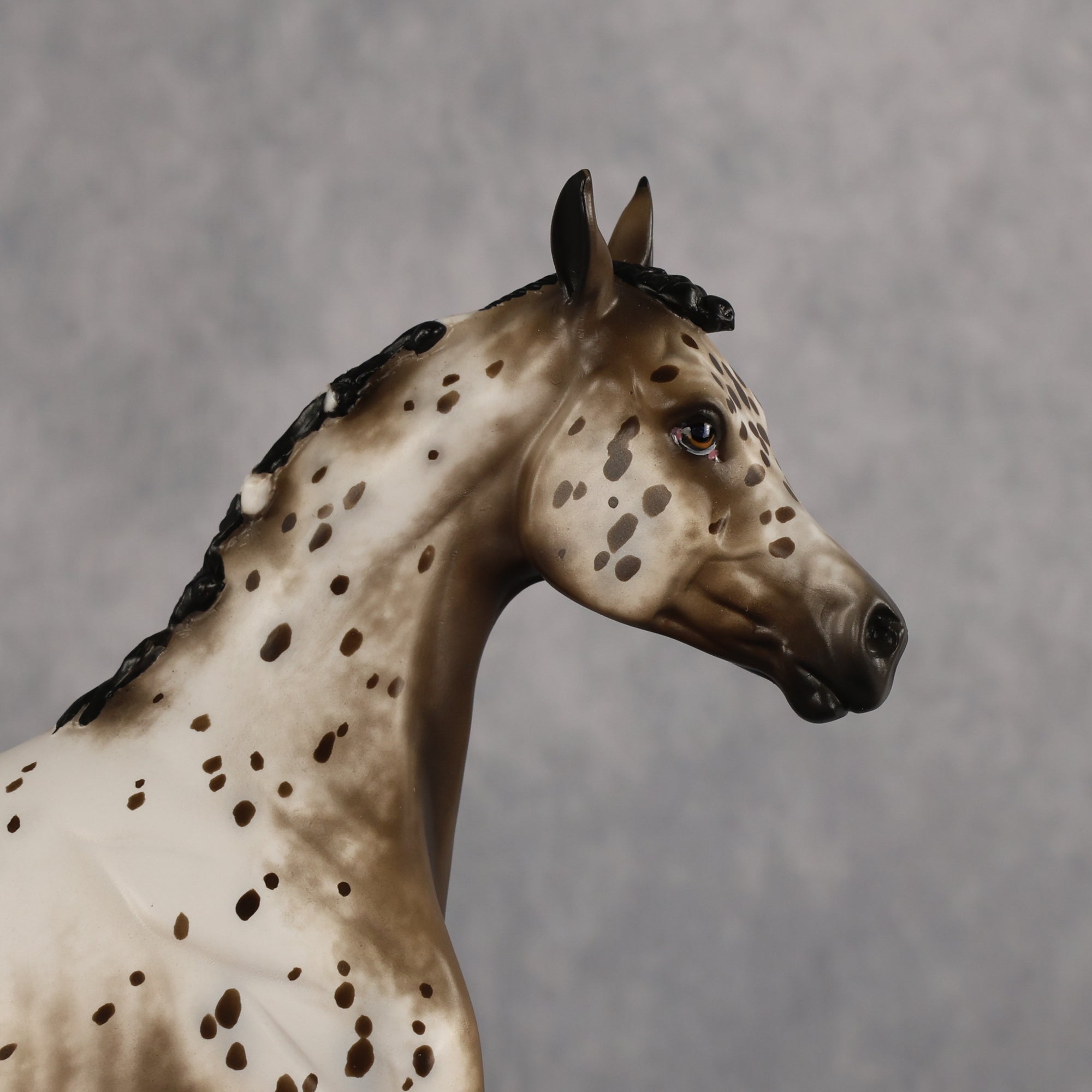 Laguna OOAK FCM Arabian Yearling by Sheryl Leisure Best Offer 6.23.2026