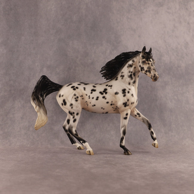 Lana Del Flock OOAK FCM Arabian Mare by Jess Hamill EQ26
