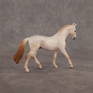 Larry LE-5 Chip Warmblood by Madi Wiseman October $99 Chips