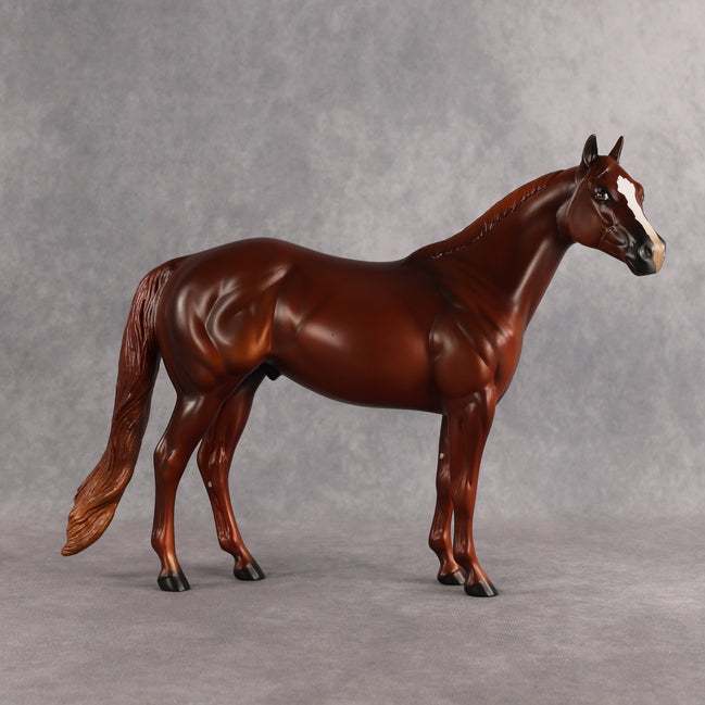 Larry OOAK Ideal Stock Horse by Anna Rieck EQ26
