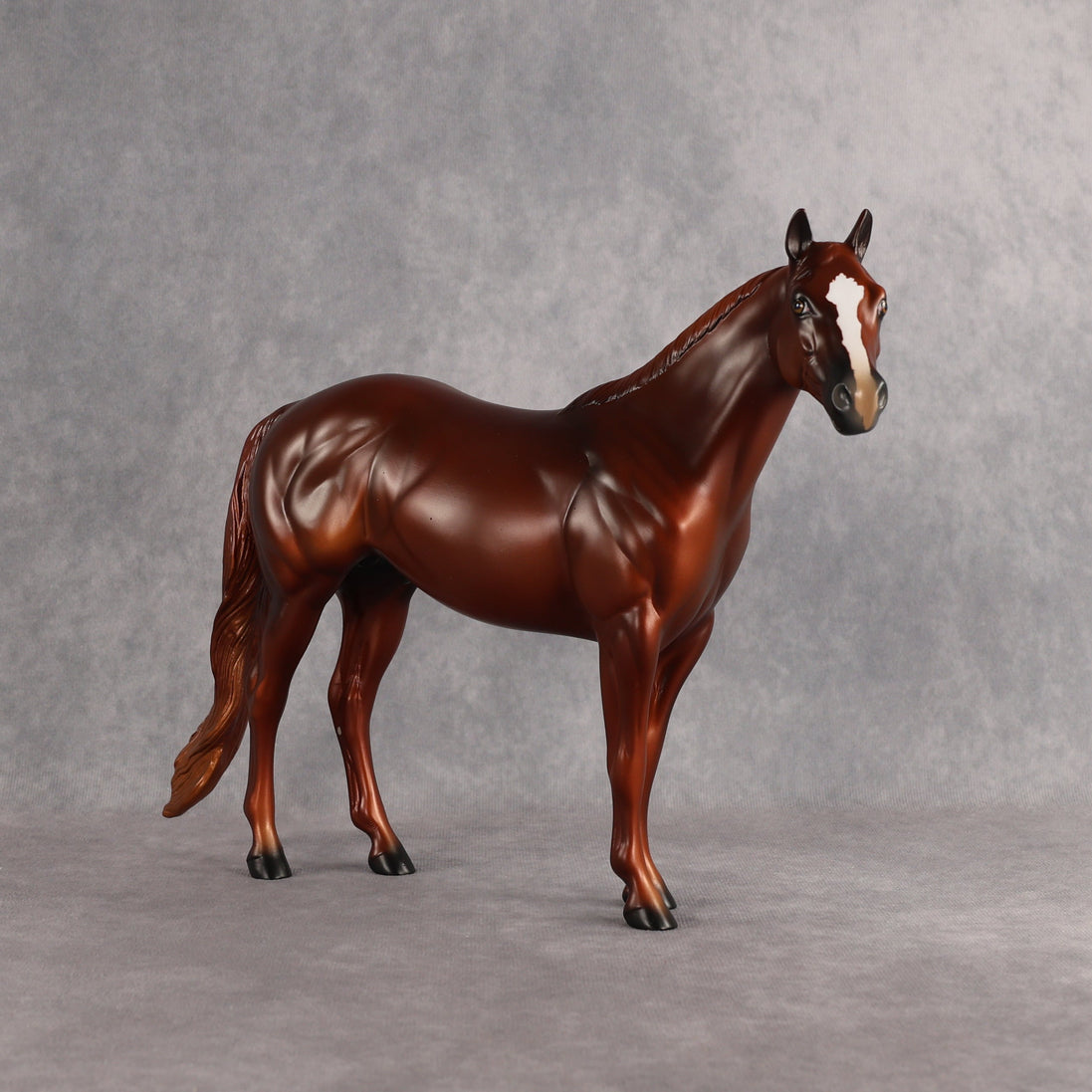 Larry OOAK Ideal Stock Horse by Anna Rieck EQ26
