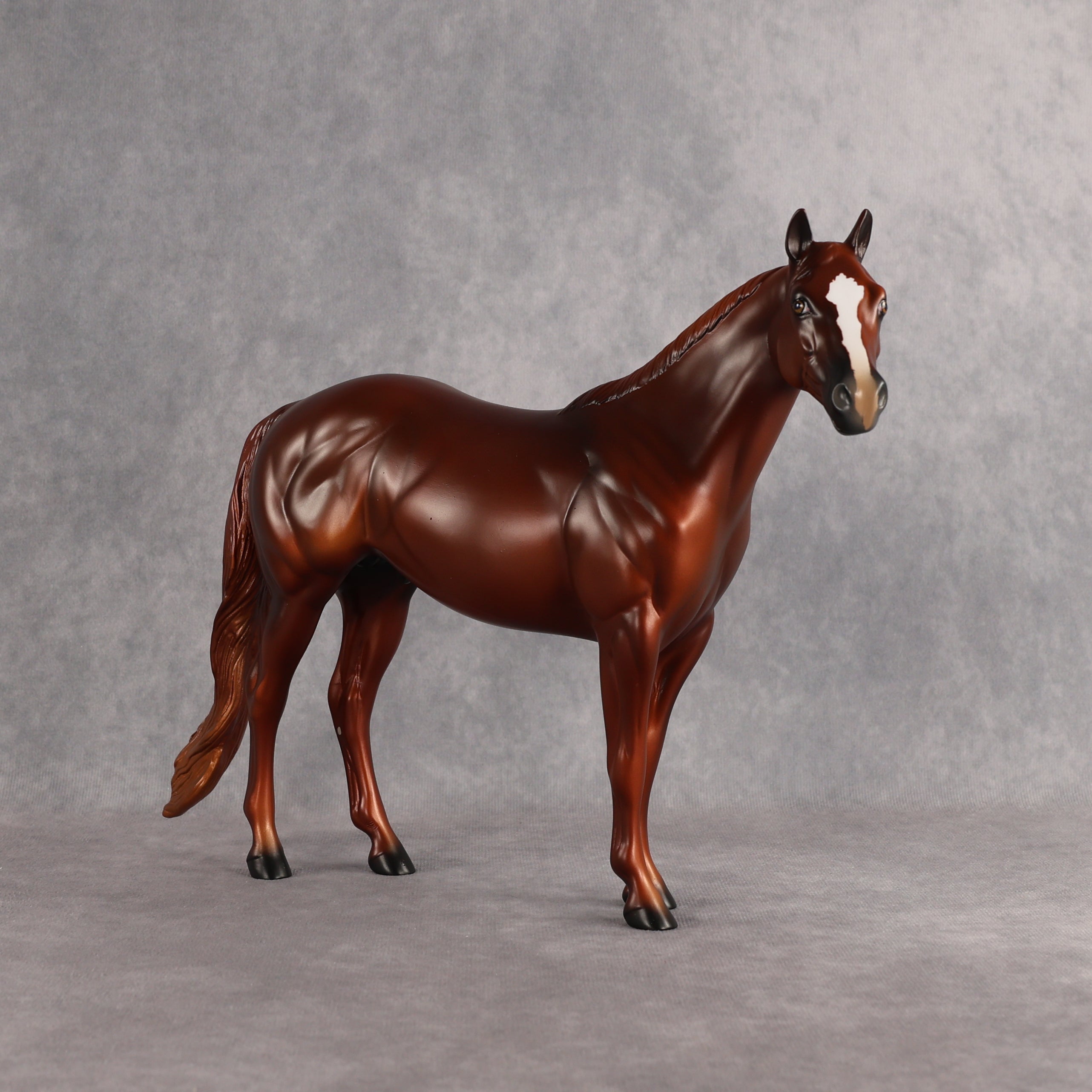 Larry OOAK Ideal Stock Horse by Anna Rieck EQ26