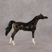 Legendary OOAK Chip Arabian by Alex Fortman LHS26