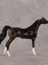 Legendary OOAK Chip Arabian by Alex Fortman LHS26