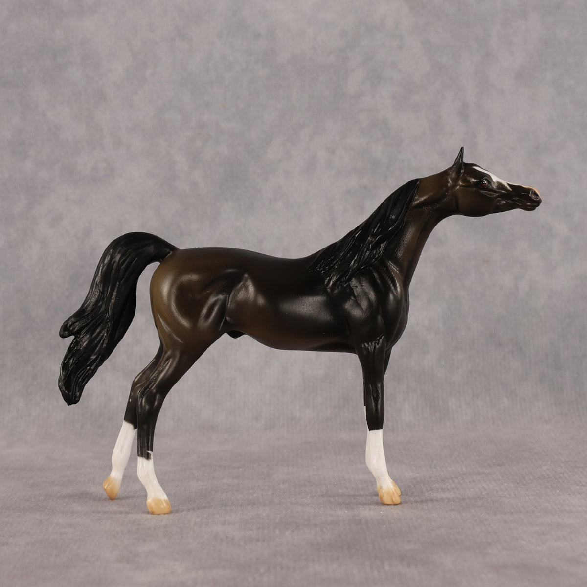 Legendary OOAK Chip Arabian by Alex Fortman LHS26