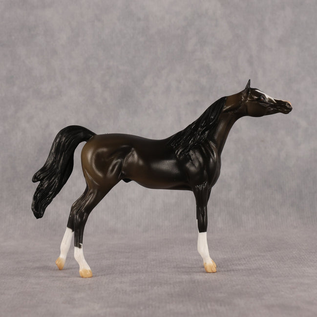 Legendary OOAK Chip Arabian by Alex Fortman LHS26