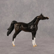 Legendary OOAK Chip Arabian by Alex Fortman LHS26