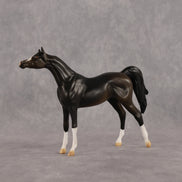Legendary OOAK Chip Arabian by Alex Fortman LHS26