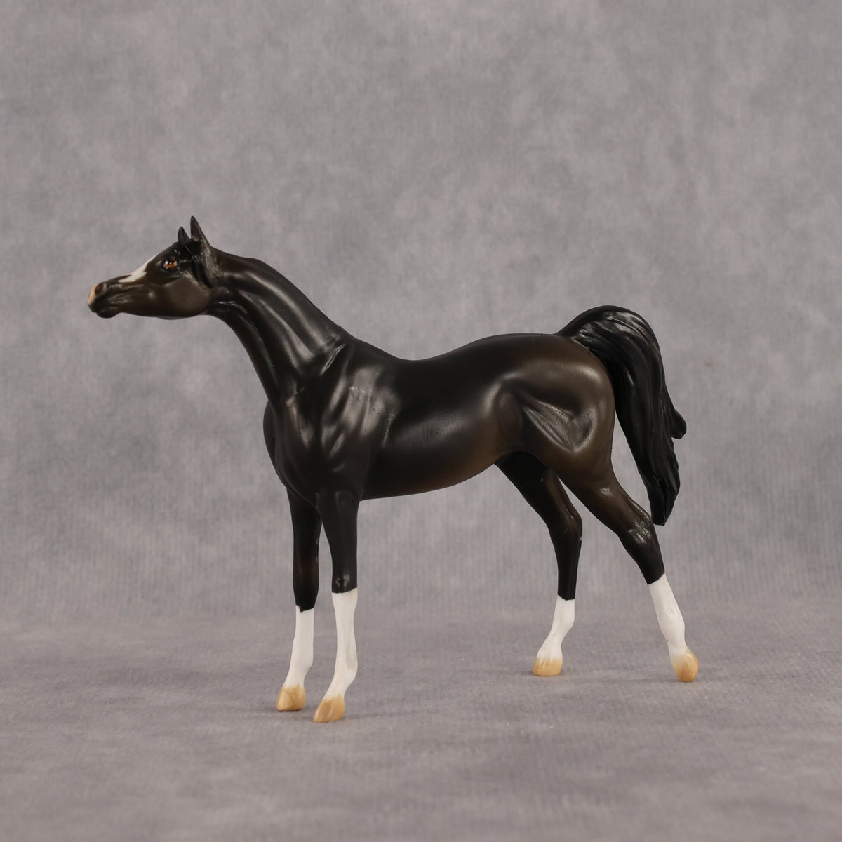 Legendary OOAK Chip Arabian by Alex Fortman LHS26