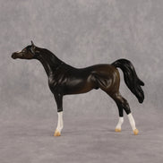 Legendary OOAK Chip Arabian by Alex Fortman LHS26