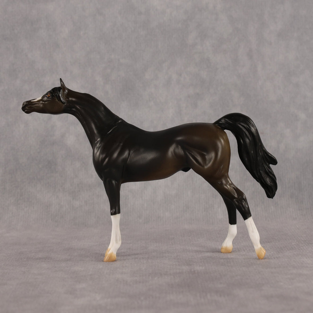 Legendary OOAK Chip Arabian by Alex Fortman LHS26