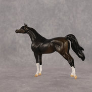 Legendary OOAK Chip Arabian by Alex Fortman LHS26