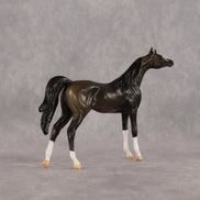Legendary OOAK Chip Arabian by Alex Fortman LHS26