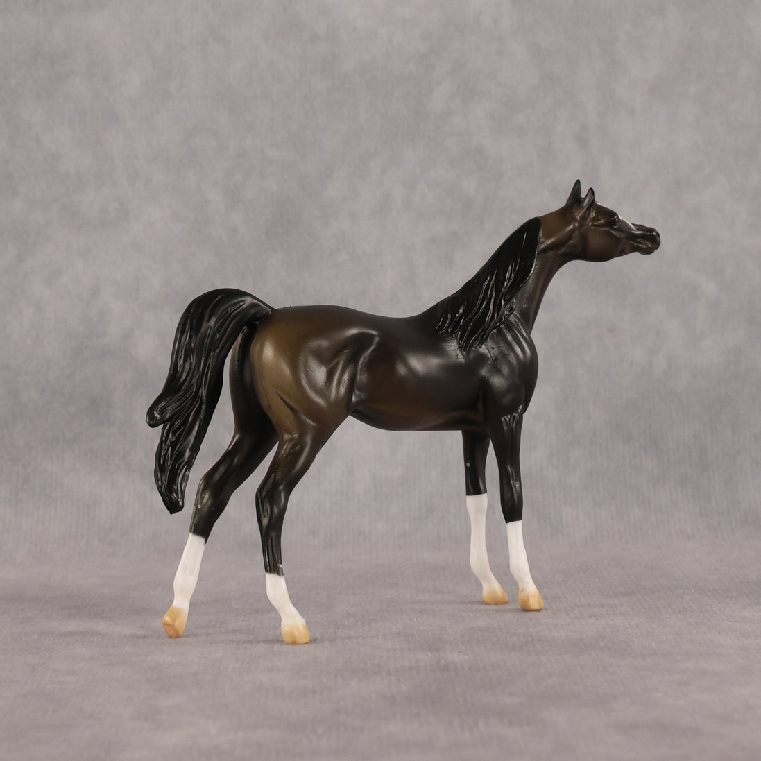 Legendary OOAK Chip Arabian by Alex Fortman LHS26