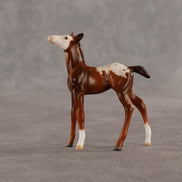 Maple & Leif OOAK Chip FCM Stock Horse & Chip Foal by Anna Rieck SCD26