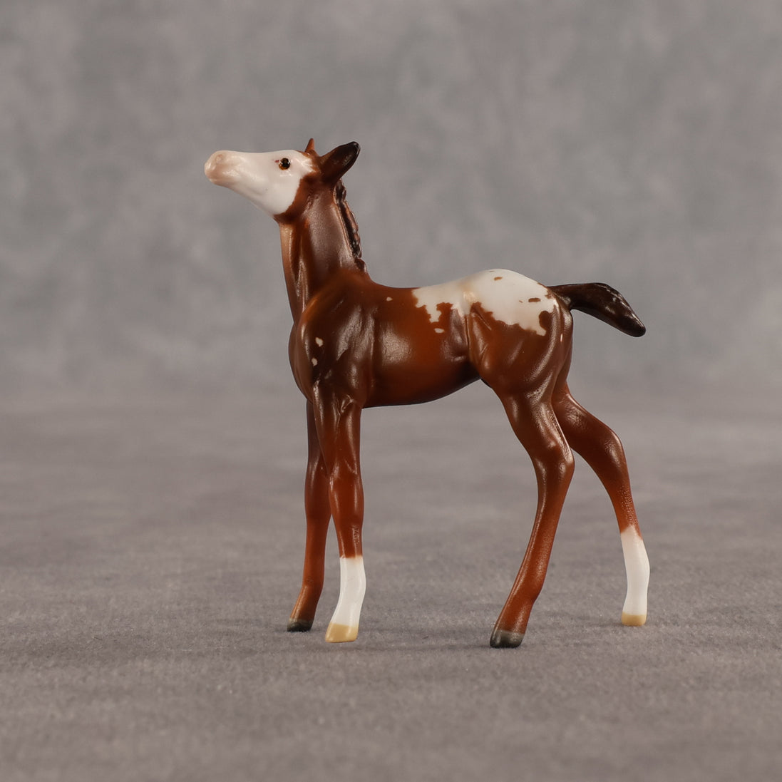 Maple & Leif OOAK Chip FCM Stock Horse & Chip Foal by Anna Rieck SCD26