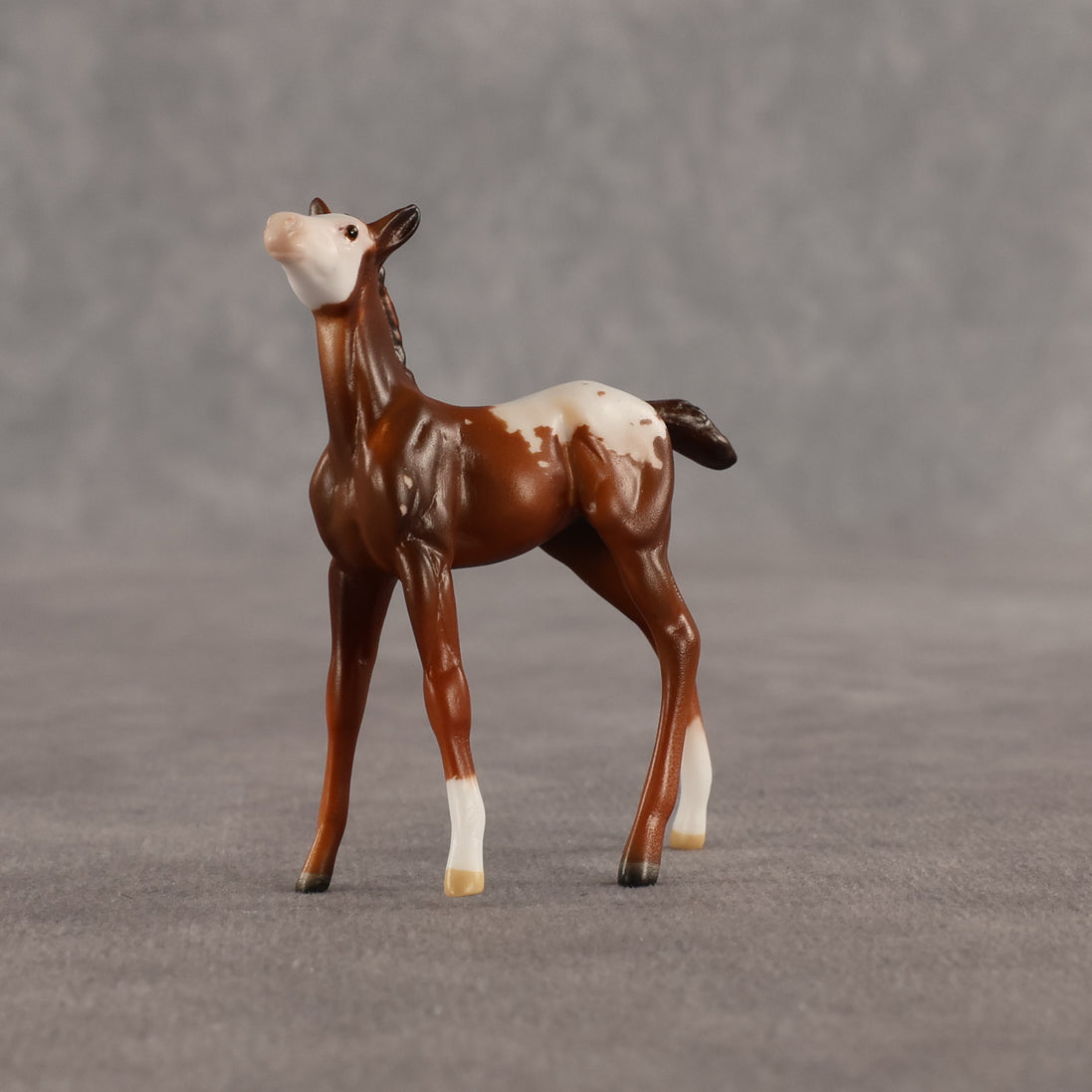 Maple & Leif OOAK Chip FCM Stock Horse & Chip Foal by Anna Rieck SCD26