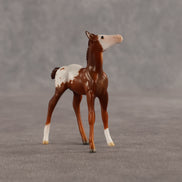 Maple & Leif OOAK Chip FCM Stock Horse & Chip Foal by Anna Rieck SCD26