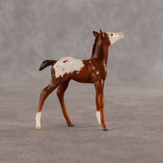 Maple & Leif OOAK Chip FCM Stock Horse & Chip Foal by Anna Rieck SCD26