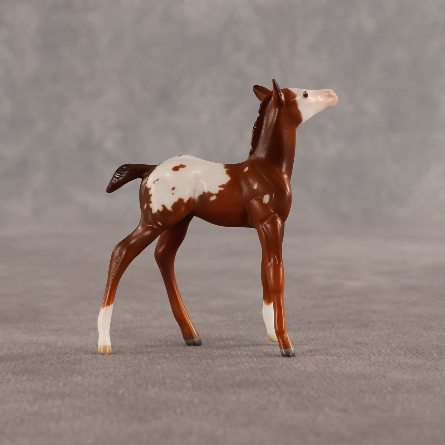 Maple & Leif OOAK Chip FCM Stock Horse & Chip Foal by Anna Rieck SCD26