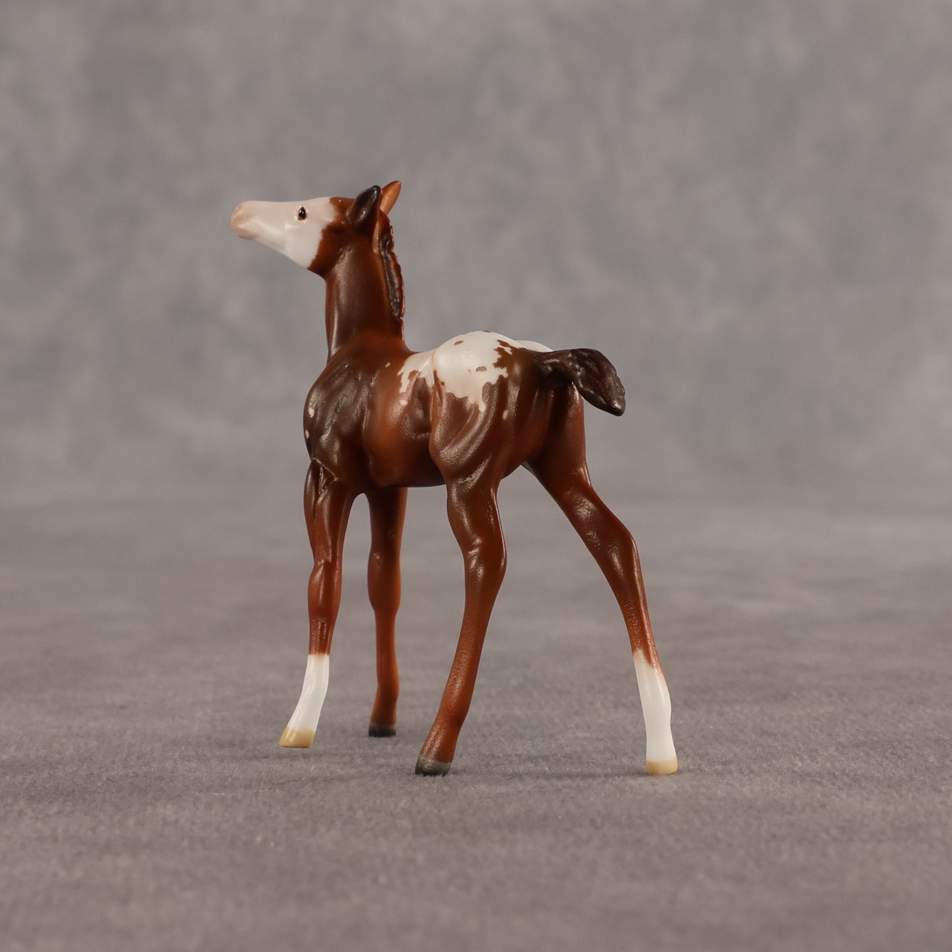 Maple & Leif OOAK Chip FCM Stock Horse & Chip Foal by Anna Rieck SCD26