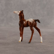 Maple & Leif OOAK Chip FCM Stock Horse & Chip Foal by Anna Rieck SCD26