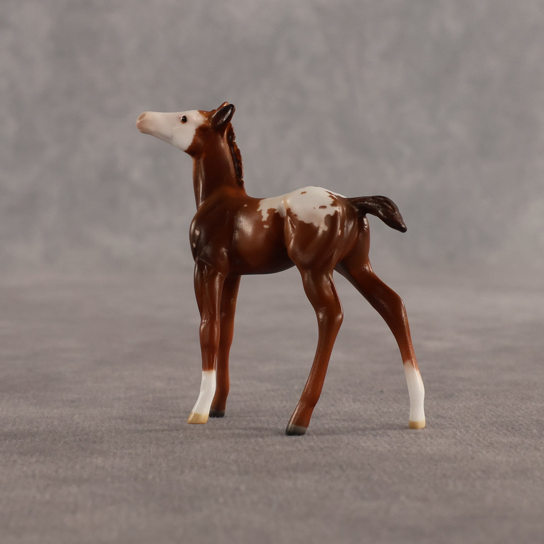 Maple & Leif OOAK Chip FCM Stock Horse & Chip Foal by Anna Rieck SCD26