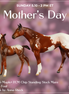 Maple & Leif OOAK Chip FCM Stock Horse & Chip Foal by Anna Rieck SCD26