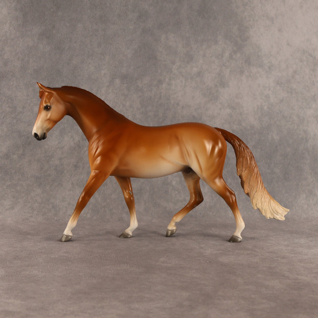 Lenny OOAK FCM Pony by Ellen Robbins SHCF26