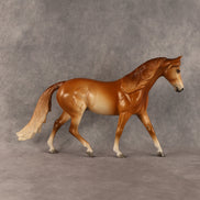 Lenny OOAK FCM Pony by Ellen Robbins SHCF26