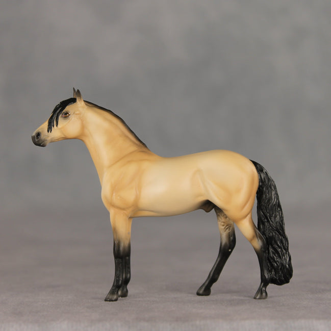 Lenticel OOAK Chip Andalusian by Ellen Robbins VV26