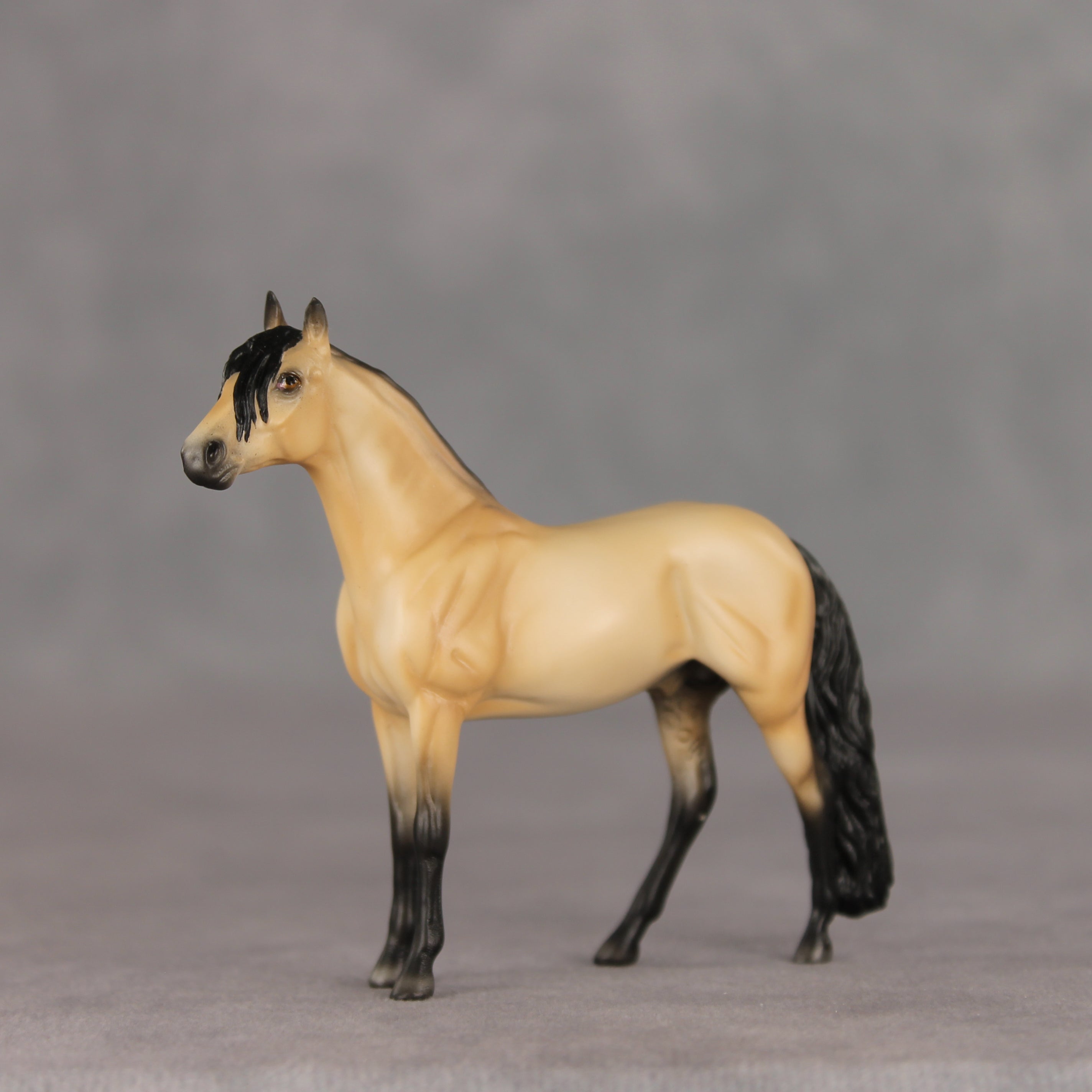 Lenticel OOAK Chip Andalusian by Ellen Robbins VV26