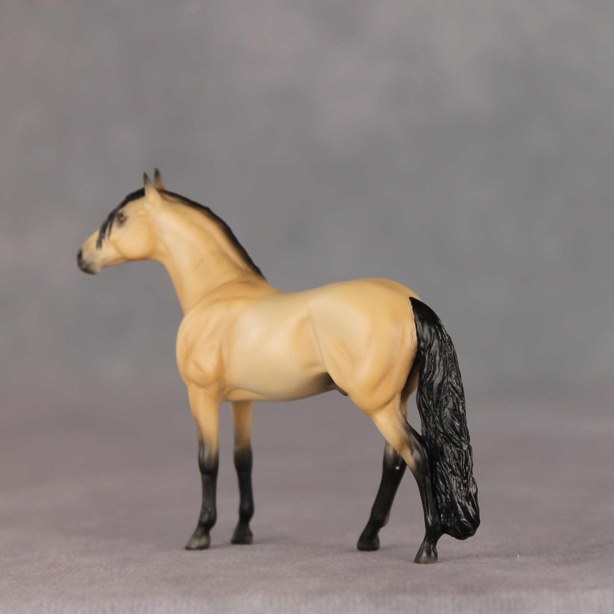Lenticel OOAK Chip Andalusian by Ellen Robbins VV26