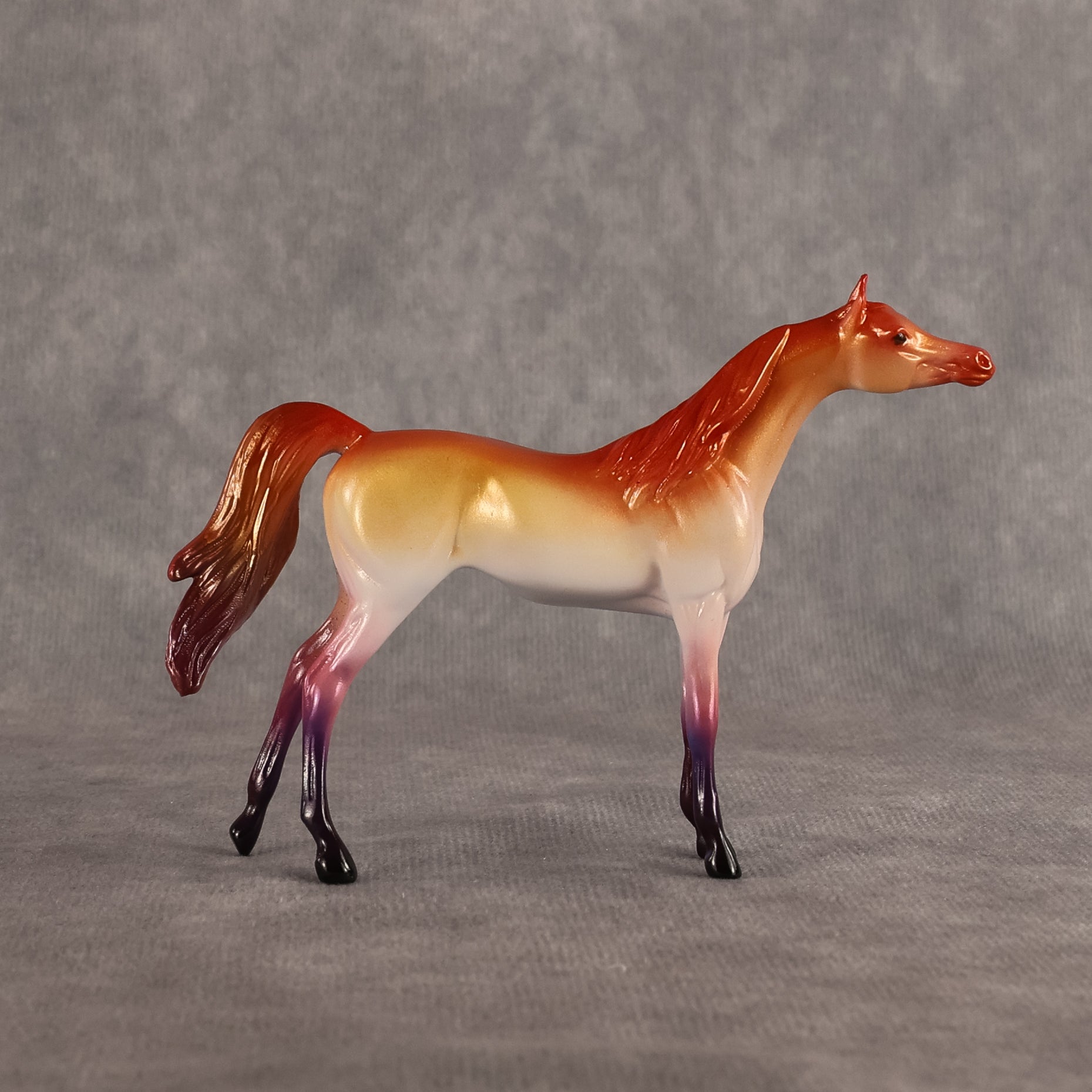 Lesbian Flag OOAK Chip Arabian by Vincent Lange Best Offer 6.9.2026