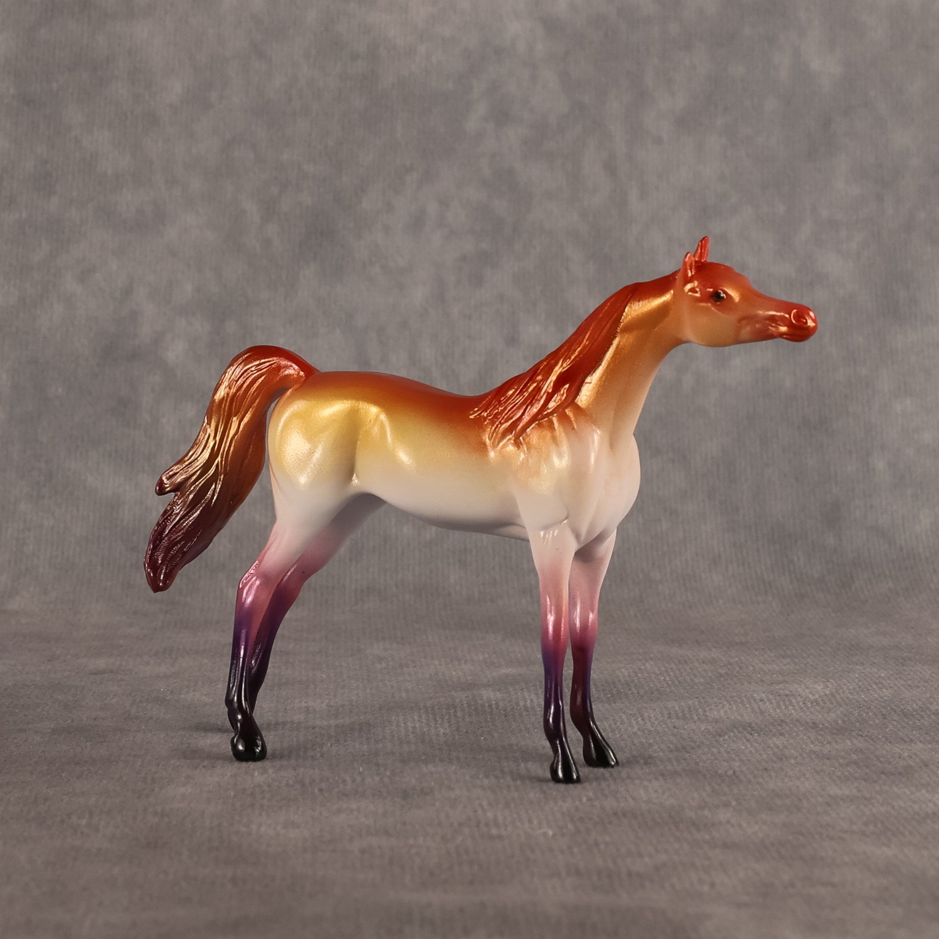 Lesbian Flag OOAK Chip Arabian by Vincent Lange Best Offer 6.9.2026