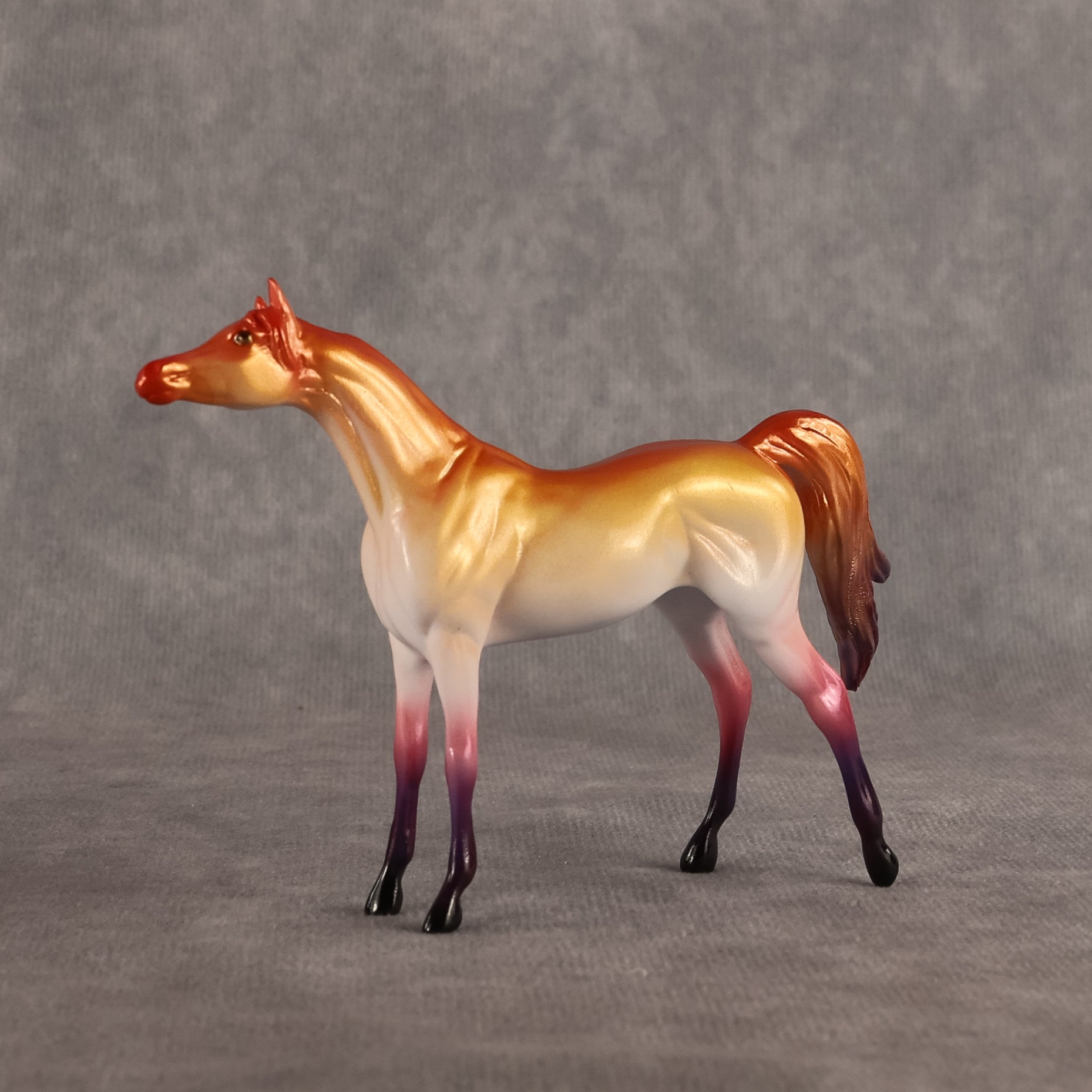 Lesbian Flag OOAK Chip Arabian by Vincent Lange Best Offer 6.9.2026