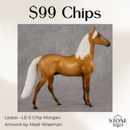 Lester LE-5 Chip Morgan by Madi Wiseman September $99 Chips